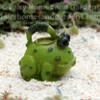 Miniature Frog Watering Can