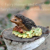 Miniature Hedgehog on Leaves