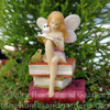 Top Collection Flower Fairy Reading