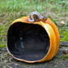 Hollow Pumpkin Display Container - Alternate View