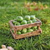 Miniature Crate of Tiny Green Apples