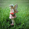 Fairy Heidi Picking Strawberries 