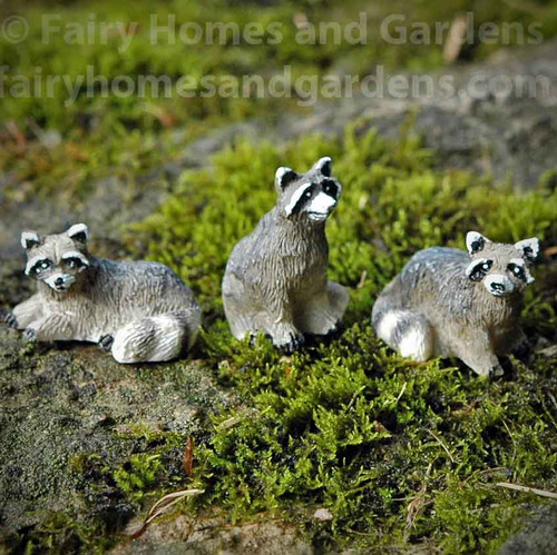 Miniature Raccoon Figurines - Set of Three