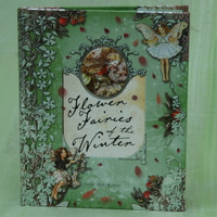Flower Fairies of the Winter Book