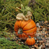 Fairy Baby on Pumpkin