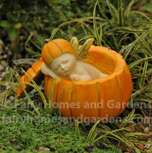 Fairy Baby Napping in a Pumpkin