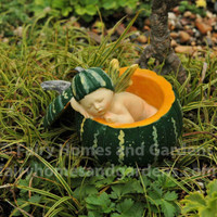 Fairy Baby in a Miniature Green Pumpkin