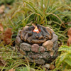 Miniature Firepit with flickering light