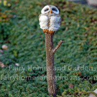 Sleepy Owl Atop a Woodland Branch