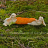 Two Tiny Rabbits with a Carrot
