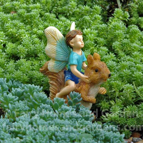 Fairy Boy Riding a Squirrel