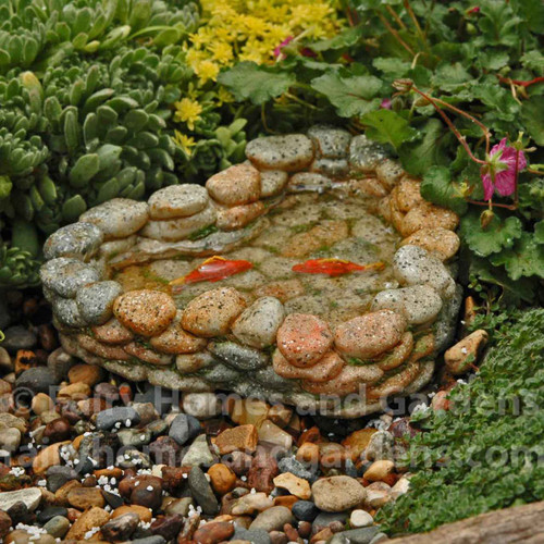 Miniature Rock Pond with Two Bright Orange Koi Fish