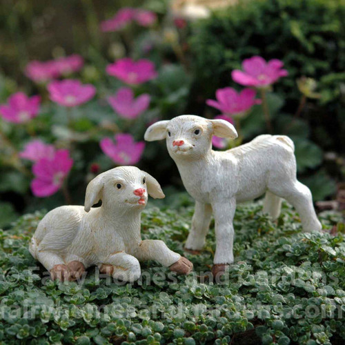 A Pair of Miniature Lambs