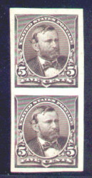# 223 pb SUPERB NH,LH, pair on stamp paper, mint