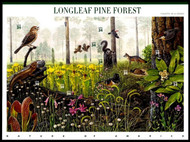 #3611, 34c Longleaf Pine Forest,  Sheet, STOCK PHOTO