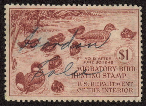 Image 1