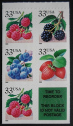 #3301b, 33c Berries, VF OG NH, Booklet Pane of 5, **STOCK PHOTO**