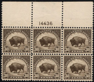 # 569 XF-SUPERB OG NH, Large Top, seldom seen as a large top, well centered,  ONE OF THE FINER 569's PLATES!