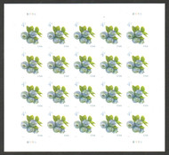 #5652 VF/XF NH, 4c Blueberries Full Sheet, very fresh color, SELECT!