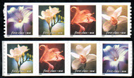 #3462 -65s VF NH, Strip of 4, vibrant colors!