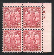 # 717v F/VF OG NH, LAKE, w/PSAG (03/25) CERT, from an old time collection,  UNLISTED IN SCOTT's, clearly UNIQUE!