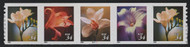 #3478 - 81a VF OG NH, Plate Strip of 5, Tough to find!