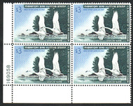 #RW33 XF OG NH, great break up potential for grading, SUPER!