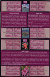 #C 46 VFOG NH, matched sets of the C46, plus a block, all written up on pages, includes the better 24594, Nice!