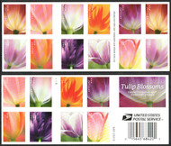 #5777 - 86b VF/XF OG NH, Forever Tulip Blossoms Complete Booklet Pane, lovely colors, SUPER!