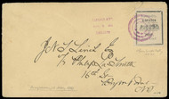 Local #  9L1 VF on cover, w/PSE (06/16) CERT, Bayonne City Dispatch, target handstamp, with matching "Bayonne City, Dispatch, May 16, 1883" three-line date stamp on cover to Bergen Point N.J.; top edge tear, Very Fine