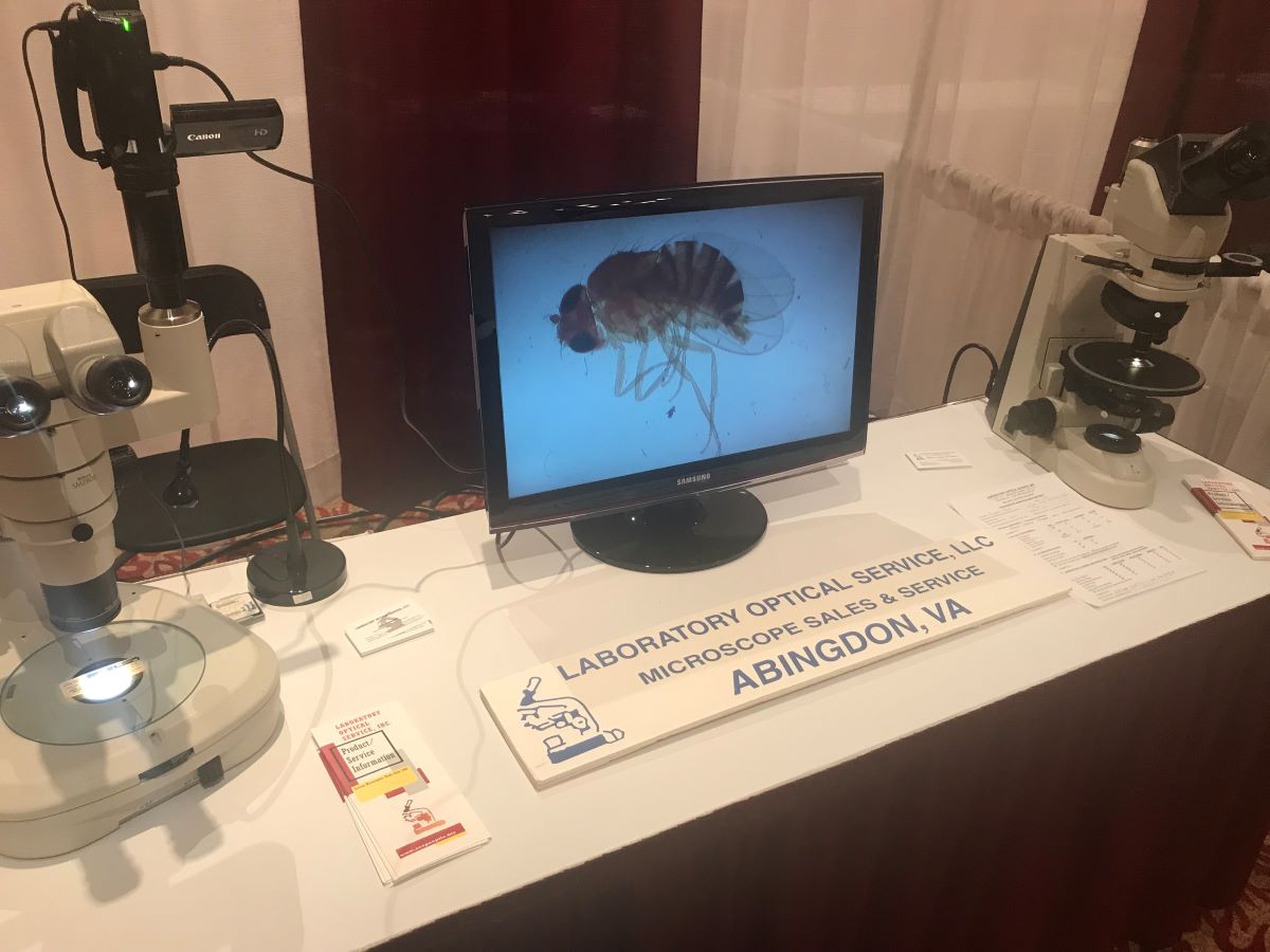 Sales, Service & Training