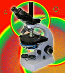 Zeiss Standard 14 Transmitted Light Upright Microscope with Phase and Hoffman Modulation Contrast