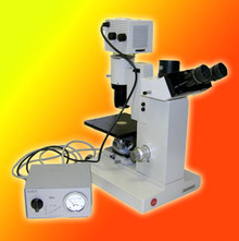 Leitz Diavert Phase Contrast Inverted Microscope