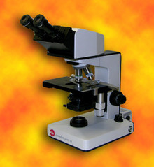 Leitz Laborlux D Microscope with Ergonomic Head