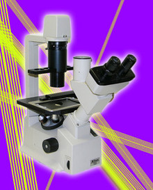 Nikon TMS-F Inverted Research Phase Microscope