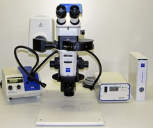 Ziess Stemi SV11 M2 Bio Quad Flourescent Microscope