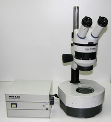 Wild M5A Stereo Microscope on Bright Dark Trans Base