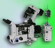 Nikon TE300 Hoffman, Fluorescence and Narishige