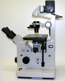 Nikon TMD Inverted Microscope with Phase Contrast