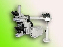 Nikon E600 DIC Dual View Fluorescent Microscope