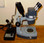 AO Stereo Zoom #569 Microscope with Trans-base and Nicholas Illuminator