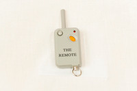 The Remote Replacement Transmitter