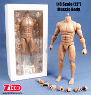 1/6 Scale Male Muscle Body