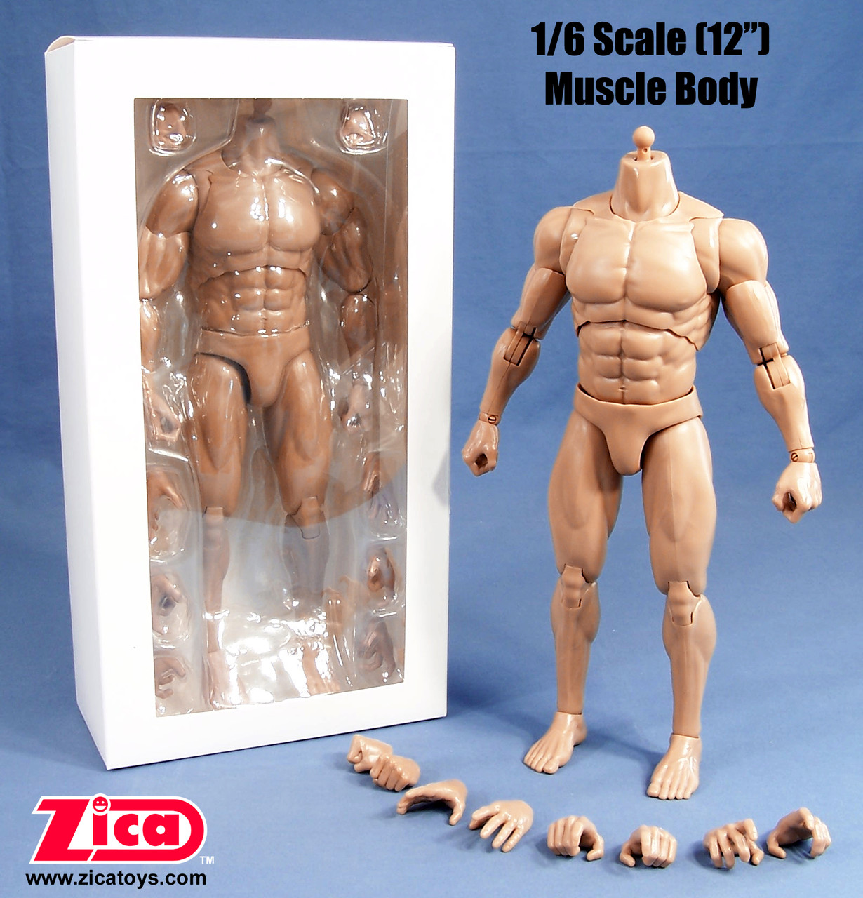 1/6 Scale Male Muscle Body - ZICA Toys Direct