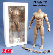 1/6 Scale Male Muscle Body