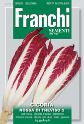 RADICCHIO (Cicoria) rossa di Treviso