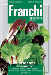 CHICORY (Cicoria) misticanza