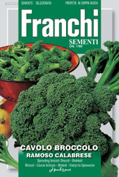 BROCCOLI (Cavolo Broccolo) ramoso calabrese