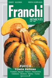 PUMPKIN (Zucca) tonda padana