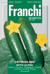CUCUMBER (Centriolino) beth alpha  